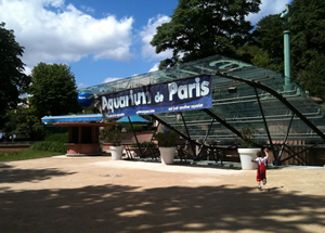 エッフェル塔にある水族館Aquarium de Paris Cineaqua