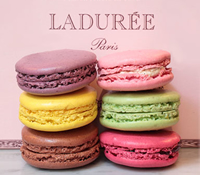 Ladureeラデュレ パリの朝食,ティーサロン,雑貨,パリの店舗リスト